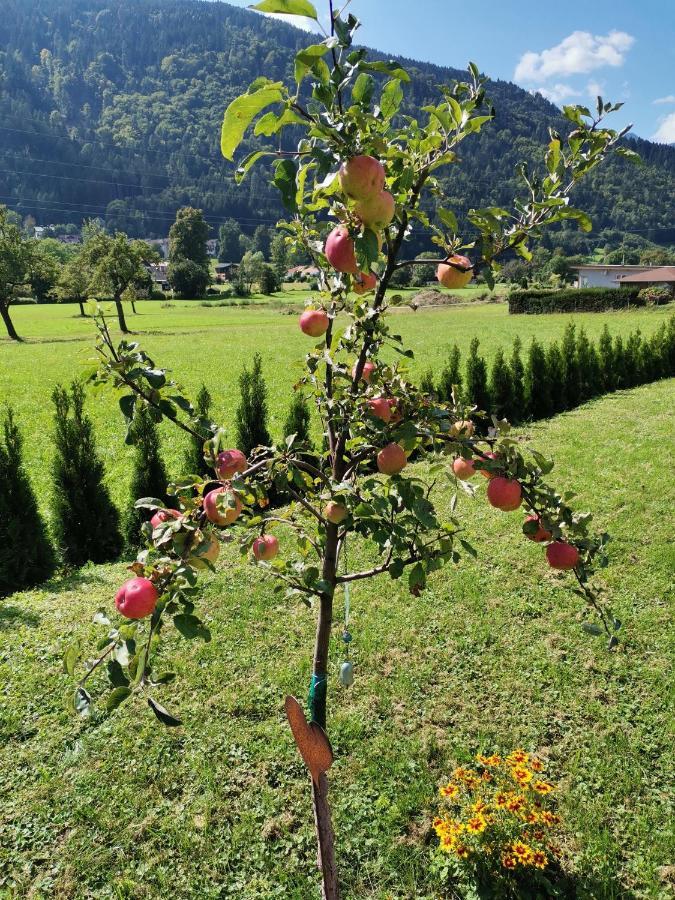 Apartment - Ferienwohnung 2 Treffen Am Ossiachersee Eksteriør bilde